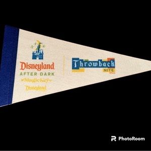 Disneyland throwback Night Pennant gift Magic Key holder annual passholders rare